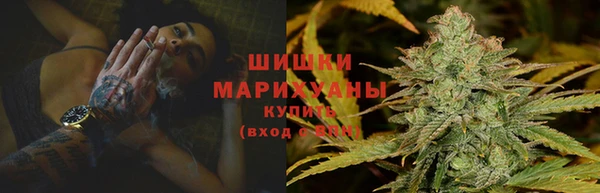 гидра Вяземский