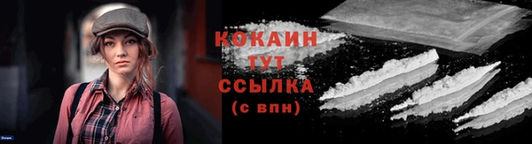 гидра Вяземский