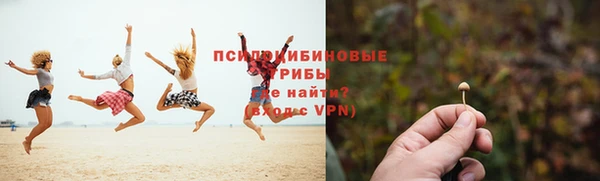 гидра Вяземский