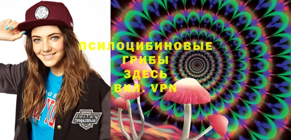 гидра Вяземский