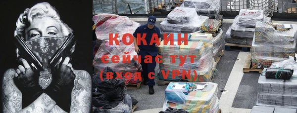 гидра Вяземский