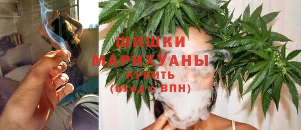 гидра Вяземский