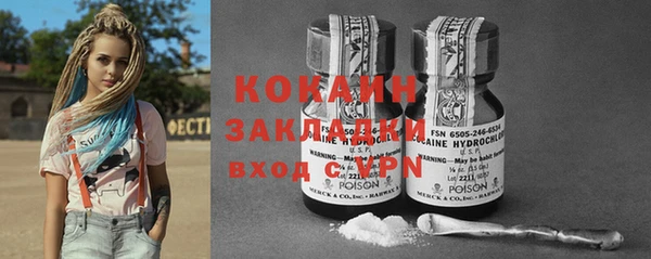 гидра Вяземский