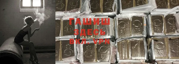 гидра Вяземский