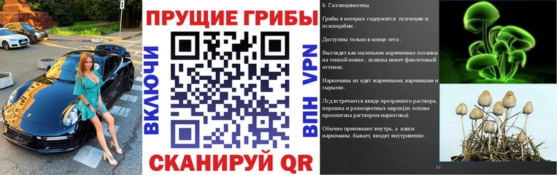 Купить где  Киржач  Псилоцибиновые грибы Psilocybine cubensis 